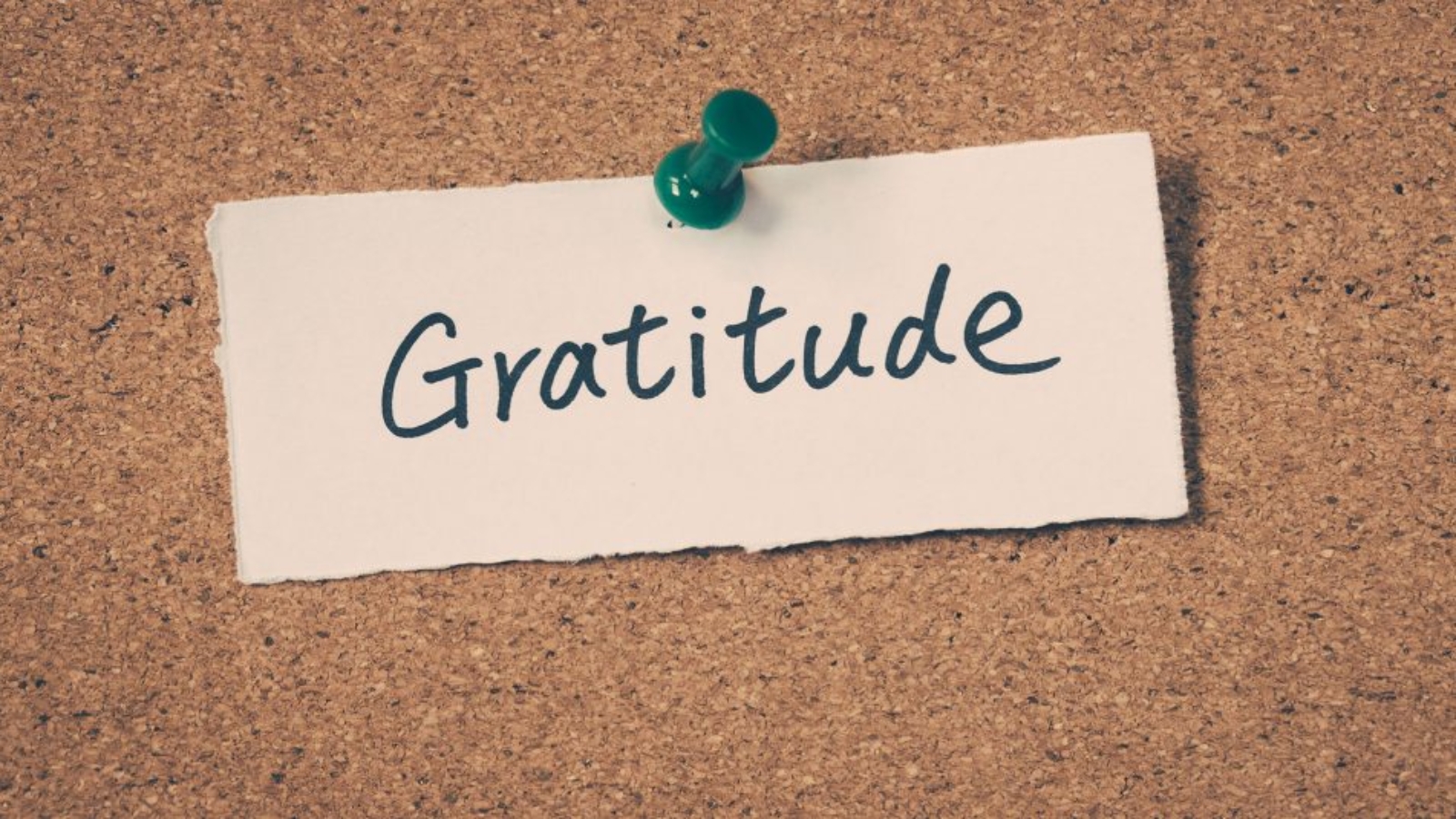 gratitude